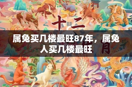 属兔买几楼最旺87年，属兔人买几楼最旺