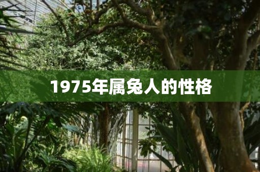 1975年属兔人的性格