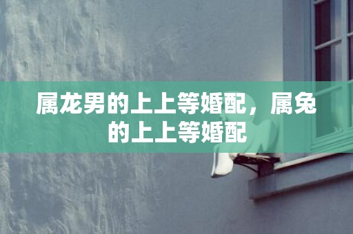 属龙男的上上等婚配，属兔的上上等婚配
