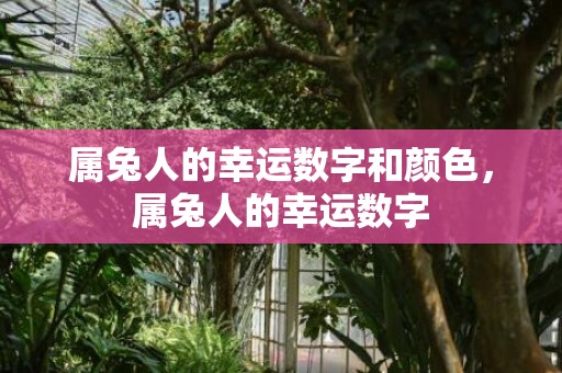 属兔人的幸运数字和颜色，属兔人的幸运数字