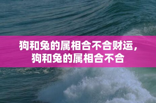 狗和兔的属相合不合财运，狗和兔的属相合不合