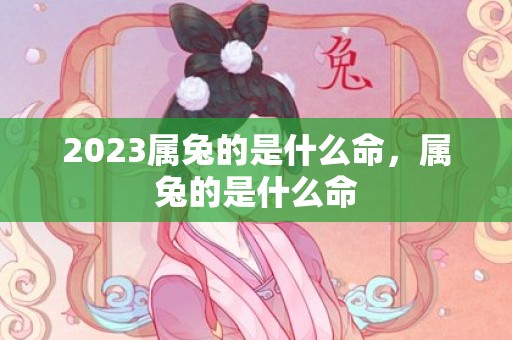 2023属兔的是什么命，属兔的是什么命