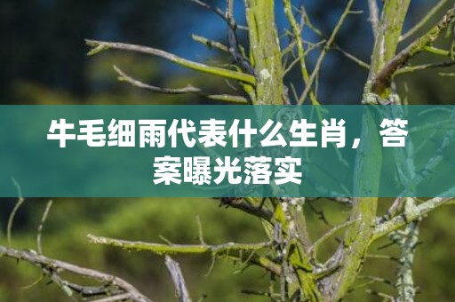 牛毛细雨代表什么生肖，答案曝光落实