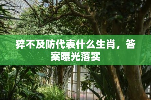猝不及防代表什么生肖，答案曝光落实