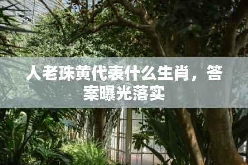 人老珠黄代表什么生肖，答案曝光落实