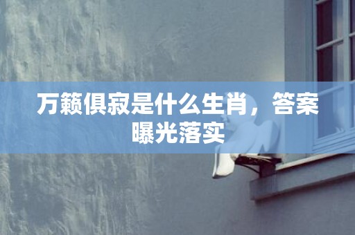 万籁俱寂是什么生肖，答案曝光落实