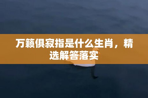 万籁俱寂指是什么生肖，精选解答落实