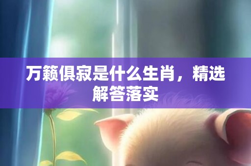 万籁俱寂是什么生肖，精选解答落实