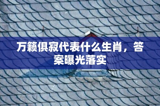 万籁俱寂代表什么生肖，答案曝光落实