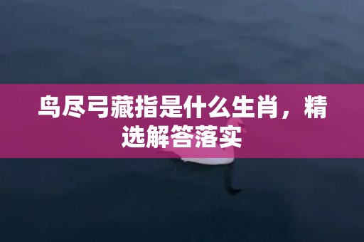 鸟尽弓藏指是什么生肖，精选解答落实