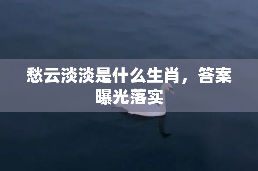 愁云淡淡是什么生肖，答案曝光落实