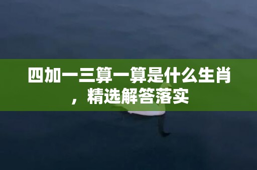 四加一三算一算是什么生肖，精选解答落实