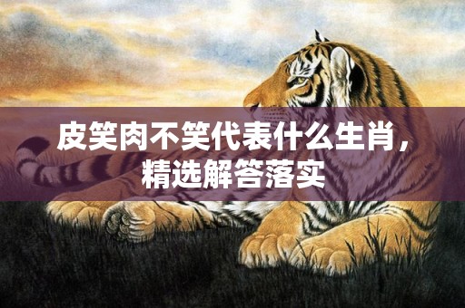 皮笑肉不笑代表什么生肖，精选解答落实