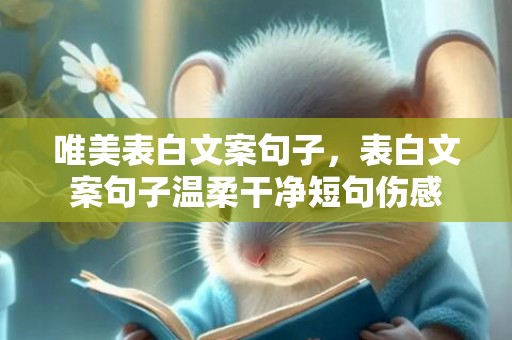 唯美表白文案句子，表白文案句子温柔干净短句伤感