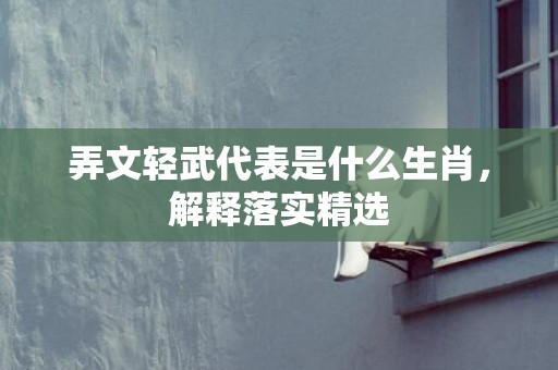 弄文轻武代表是什么生肖，解释落实精选