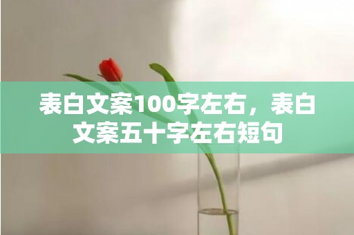表白文案100字左右，表白文案五十字左右短句
