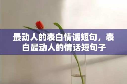 最动人的表白情话短句，表白最动人的情话短句子
