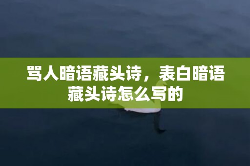 骂人暗语藏头诗，表白暗语藏头诗怎么写的
