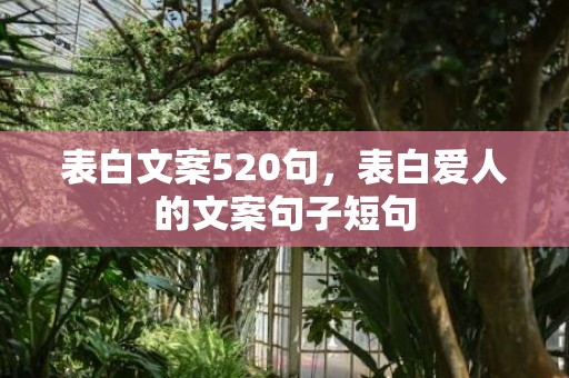 表白文案520句，表白爱人的文案句子短句