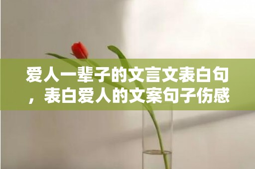 爱人一辈子的文言文表白句，表白爱人的文案句子伤感