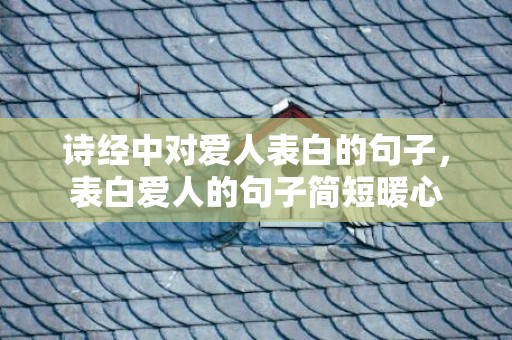 诗经中对爱人表白的句子，表白爱人的句子简短暖心