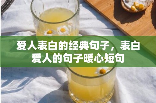 爱人表白的经典句子，表白爱人的句子暖心短句