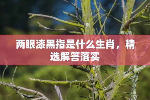 两眼漆黑指是什么生肖，精选解答落实