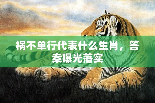 祸不单行代表什么生肖，答案曝光落实