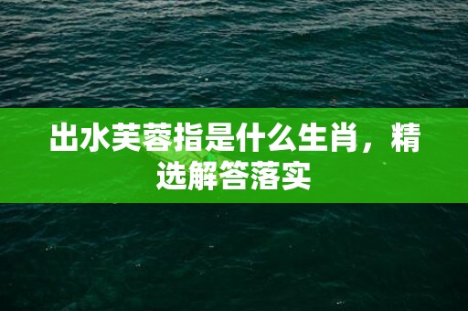 出水芙蓉指是什么生肖，精选解答落实