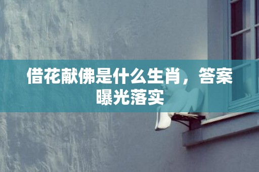借花献佛是什么生肖，答案曝光落实