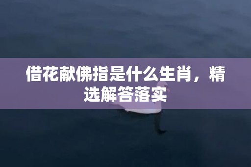 借花献佛指是什么生肖，精选解答落实