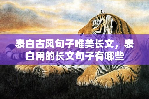 表白古风句子唯美长文，表白用的长文句子有哪些