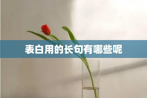 表白用的长句有哪些呢