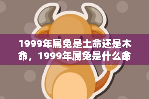 1999年属兔是土命还是木命，1999年属兔是什么命