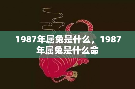 1987年属兔是什么，1987年属兔是什么命