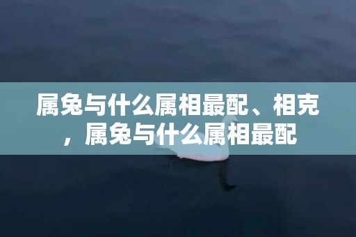 属兔与什么属相最配、相克，属兔与什么属相最配
