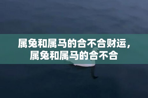属兔和属马的合不合财运，属兔和属马的合不合