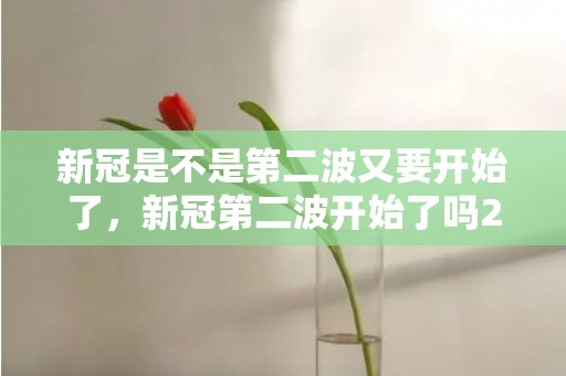 新冠是不是第二波又要开始了，新冠第二波开始了吗2023