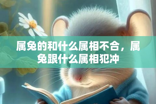 属兔的和什么属相不合，属兔跟什么属相犯冲