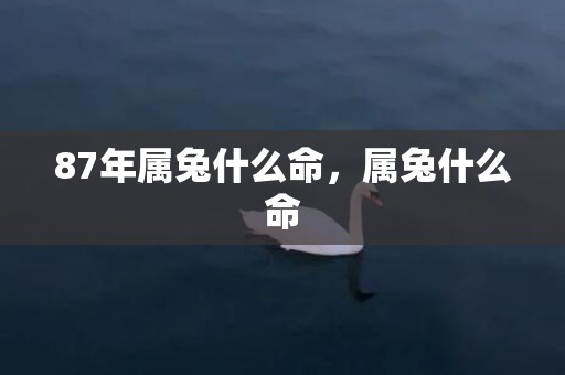87年属兔什么命，属兔什么命