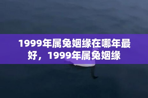 1999年属兔姻缘在哪年最好，1999年属兔姻缘
