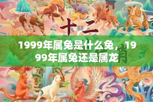 1999年属兔是什么兔，1999年属兔还是属龙