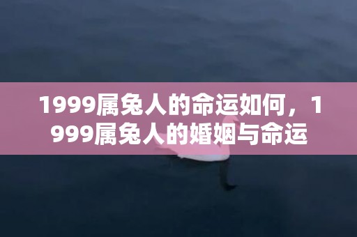 1999属兔人的命运如何，1999属兔人的婚姻与命运