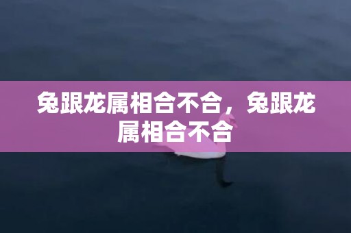 兔跟龙属相合不合，兔跟龙属相合不合