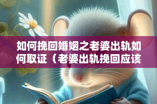 如何挽回婚姻之老婆出轨如何取证（老婆出轨挽回应该怎么说）