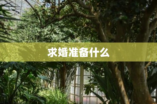 求婚准备什么