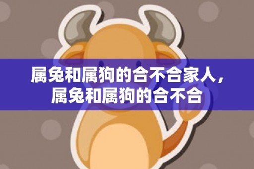 属兔和属狗的合不合家人，属兔和属狗的合不合