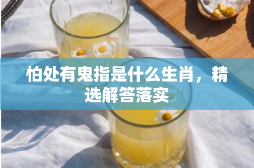 怕处有鬼指是什么生肖，精选解答落实