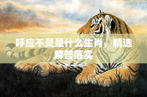 呼应不灵是什么生肖，精选解答落实
