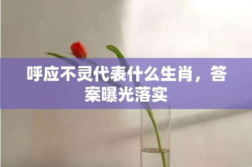 呼应不灵代表什么生肖，答案曝光落实